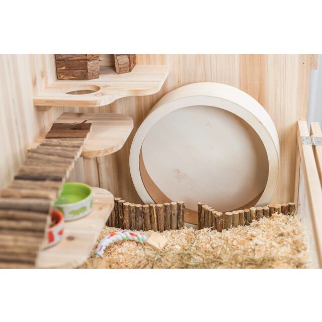 Roue d'exercice en bois, non traité