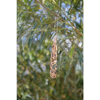 Aliment en barre tournesol, lot 20 pc