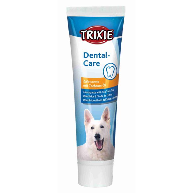 Dentifrice huile d'arbre à thé, lot 6 pc