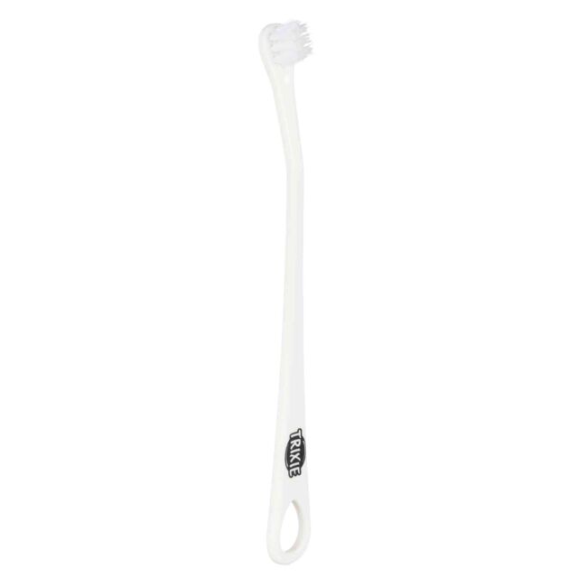 Set brosses à dents pour chat lot 4 sachets
