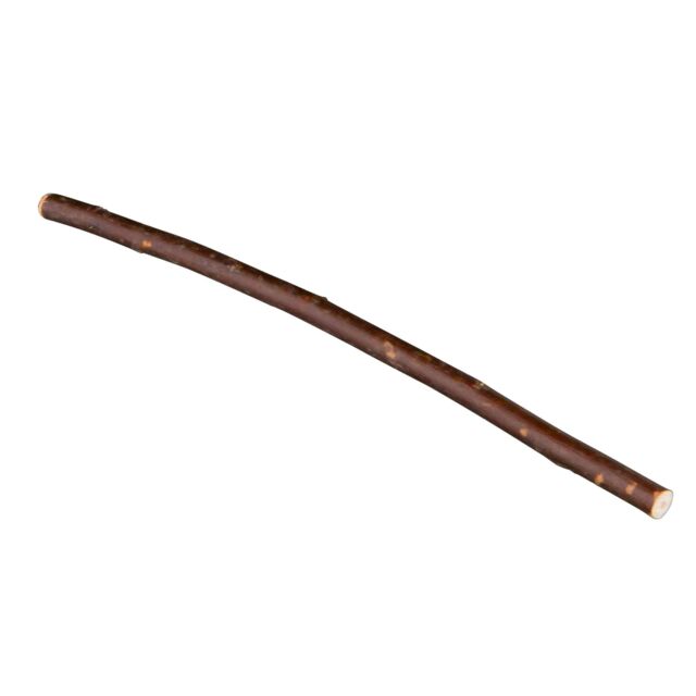 Branches de saule, lot 4 sachets de 20 pc