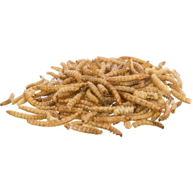Larves de vers de farine séchées lot 6 x 70g