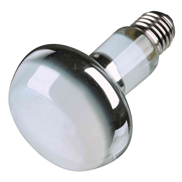 Lampe spot à chaleur lot 3 pc