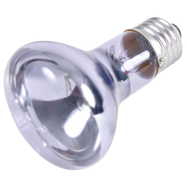 Lampe à spot en néodyme lot 3 pc