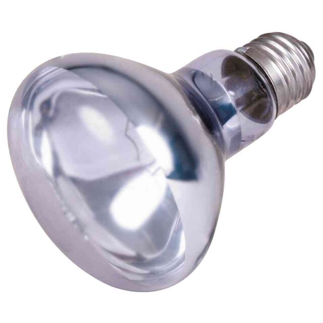 Lampe à spot en néodyme lot 3 pc