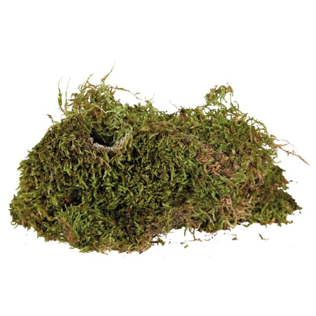 Mousse pour terrarium humides, lot 4x200g