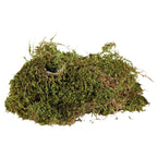 Mousse pour terrarium humides, lot 4x200g