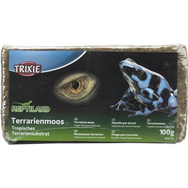 Mousse pour terrarium, lot 4 x 4.5L