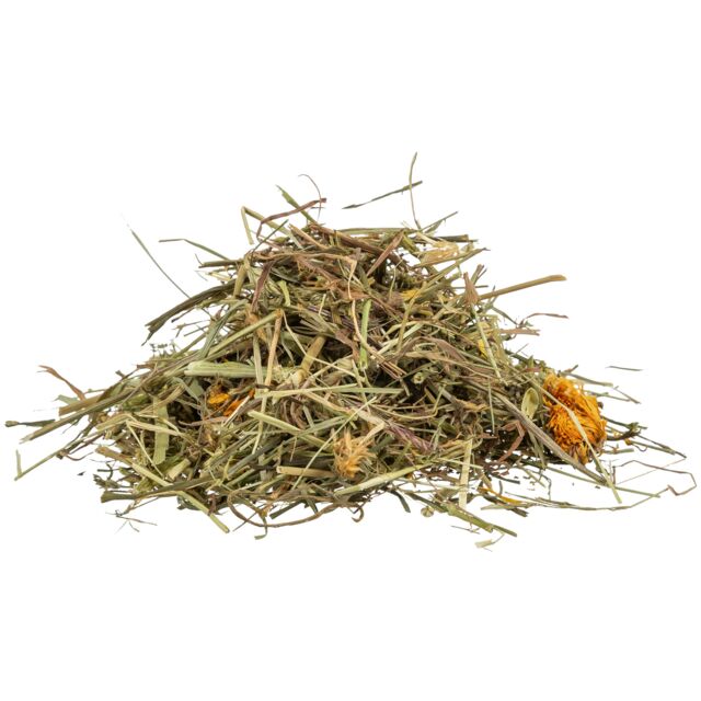 Graminées et herbes de prairie pour tortues, 6x200g