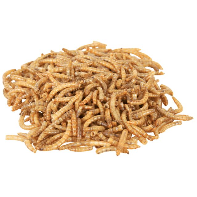 Larves de vers de farine séchées, 6 x 70g