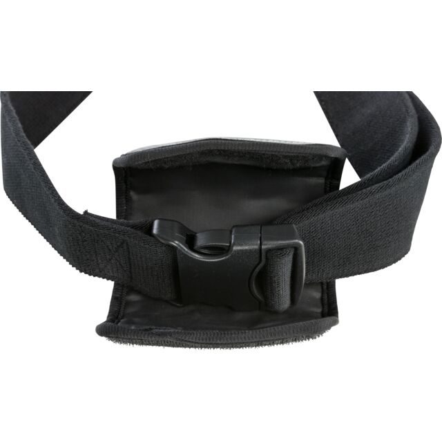 Ceinture ventrale avec laisse
