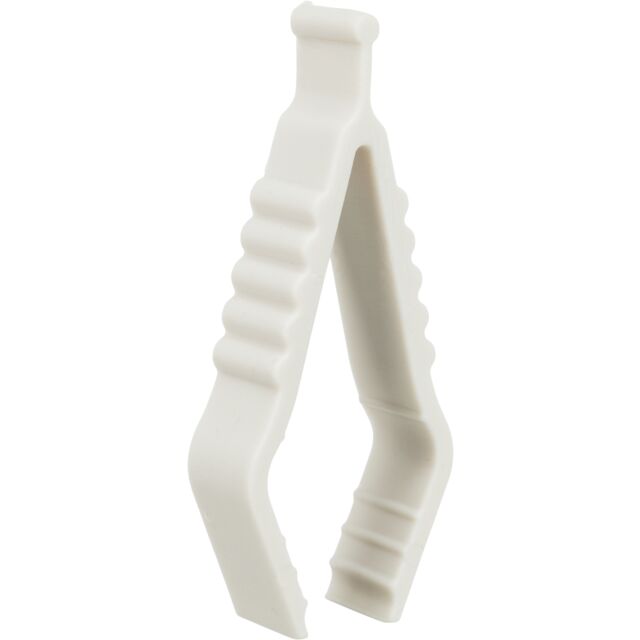 Pierre de calcium avec sépia, lot 6 pc
