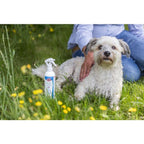 Spray anti-puces et tiques lot 4 pc