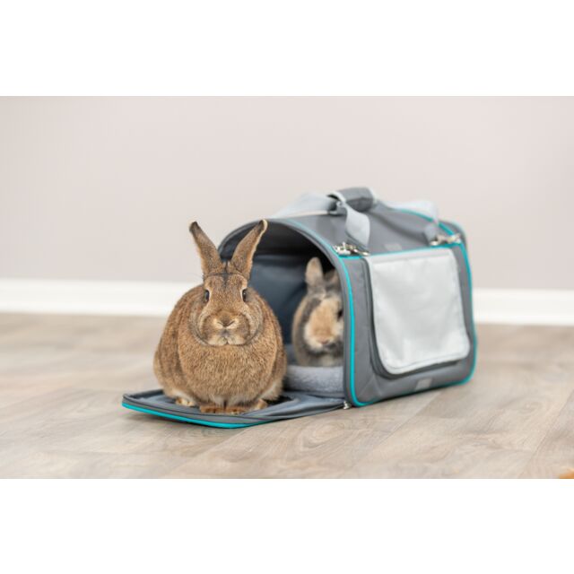 Home Kennel & Sac de transport Vicky
