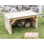 Abris en bois flammé