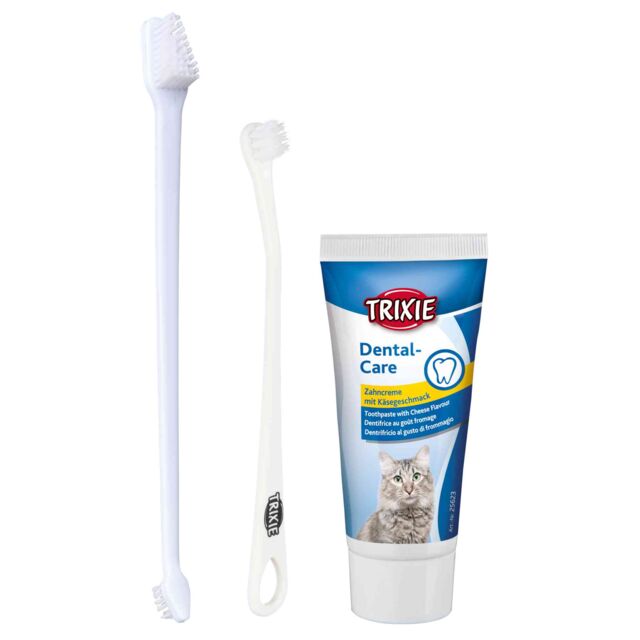 Set d'hygiène dentaire pour chat lot de 3