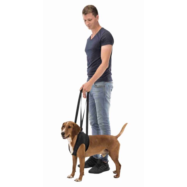 Aide à la marche