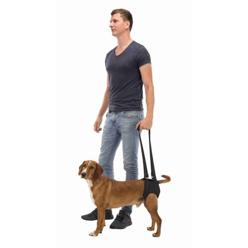 Aide à la marche
