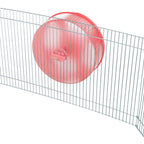Roue d'exercice en plastique