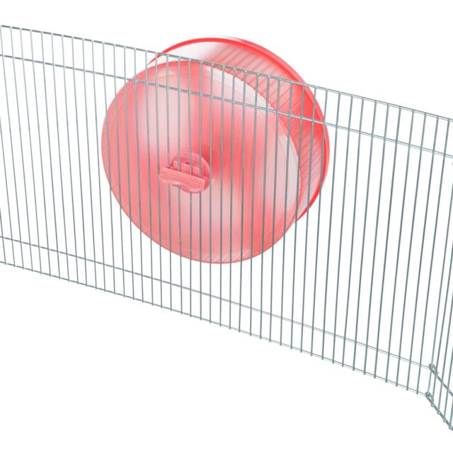 Roue d'exercice en plastique