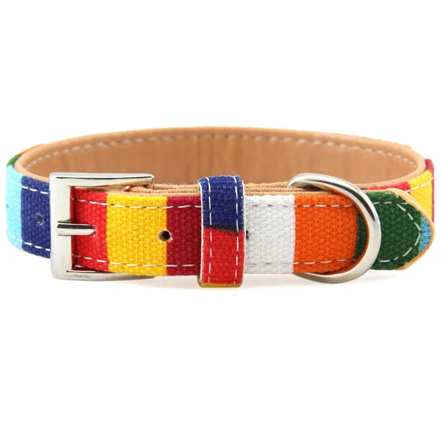 collier pour chien, cuir et tissu