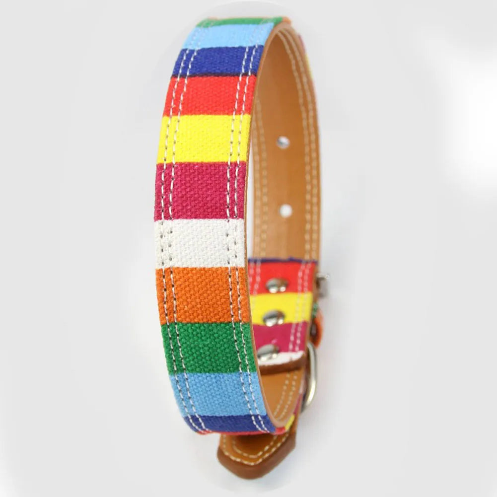 collier pour chien, cuir et tissu