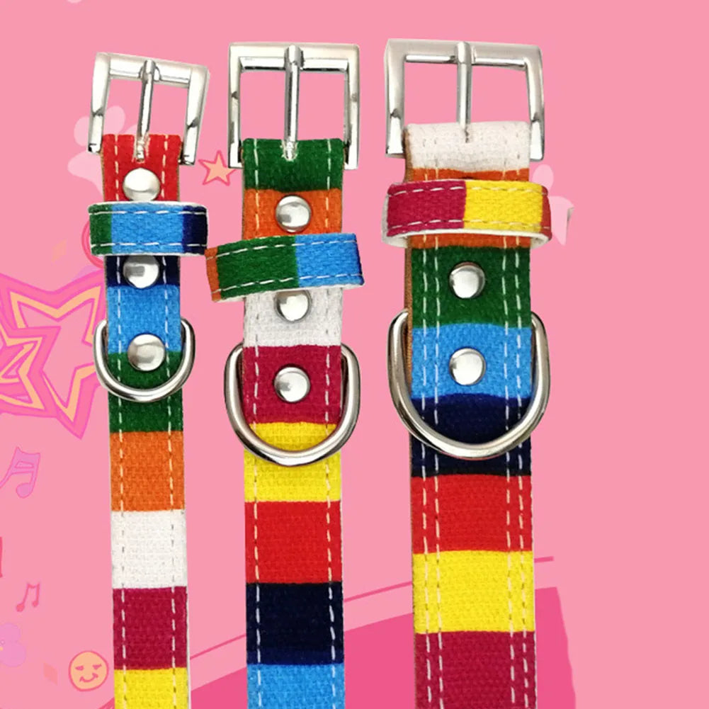 collier pour chien, cuir et tissu