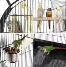 Cage toit ouvrant support roulant
