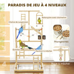 Perchoir aire de jeu petit perroquet