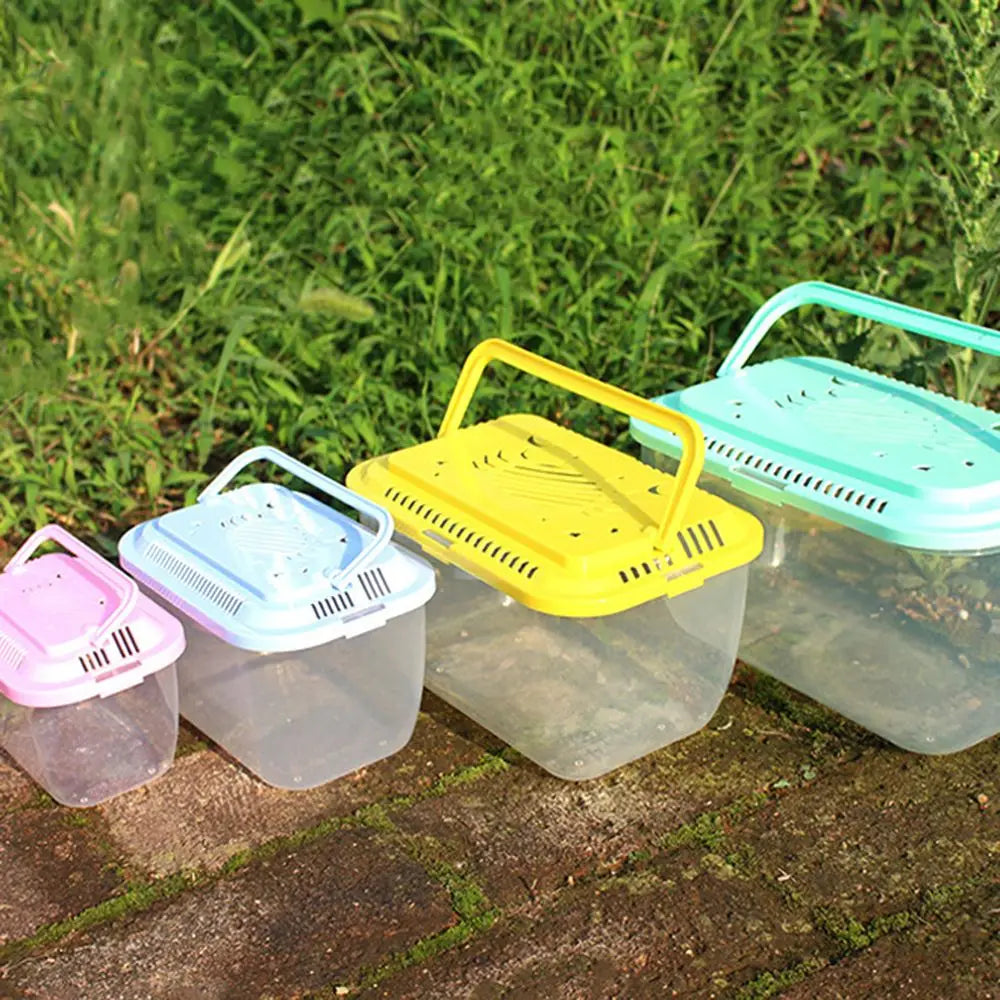 Caisse de transport plastique