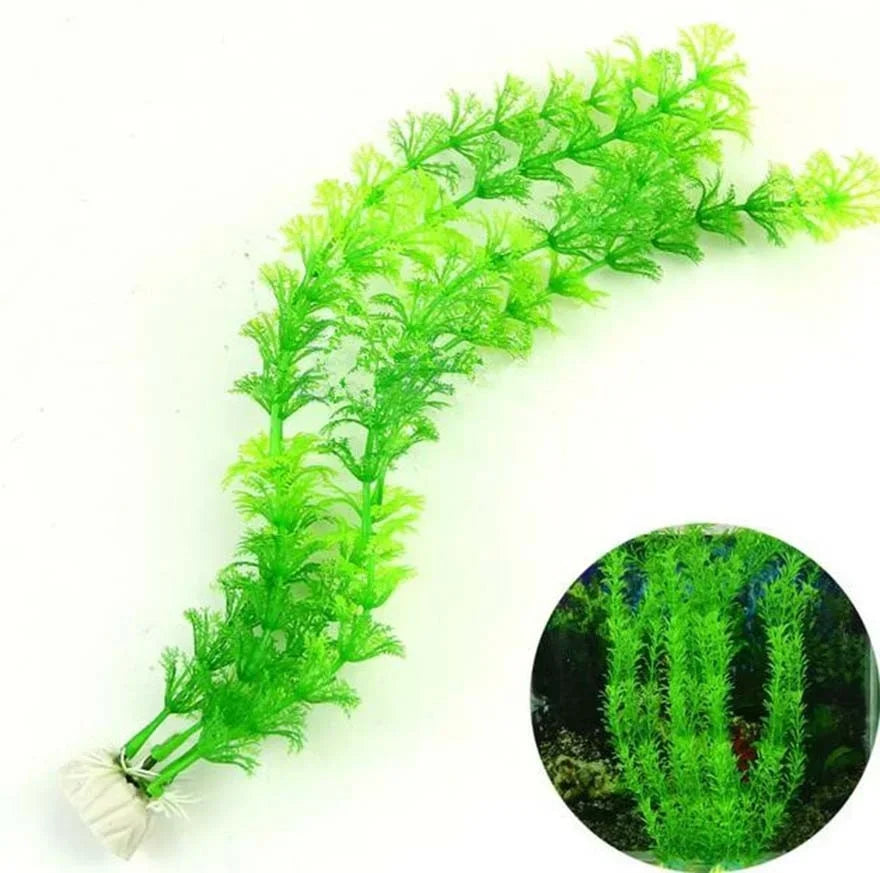 Plante en plastique Egeria