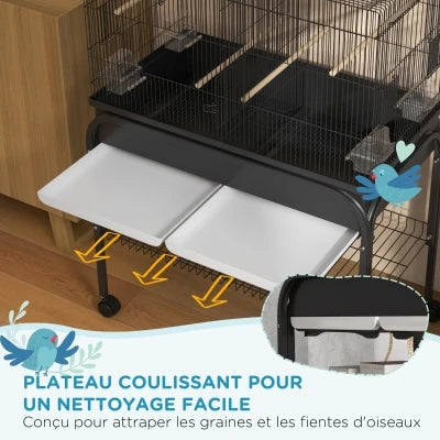 Moyen ou grand perroquet support roulant