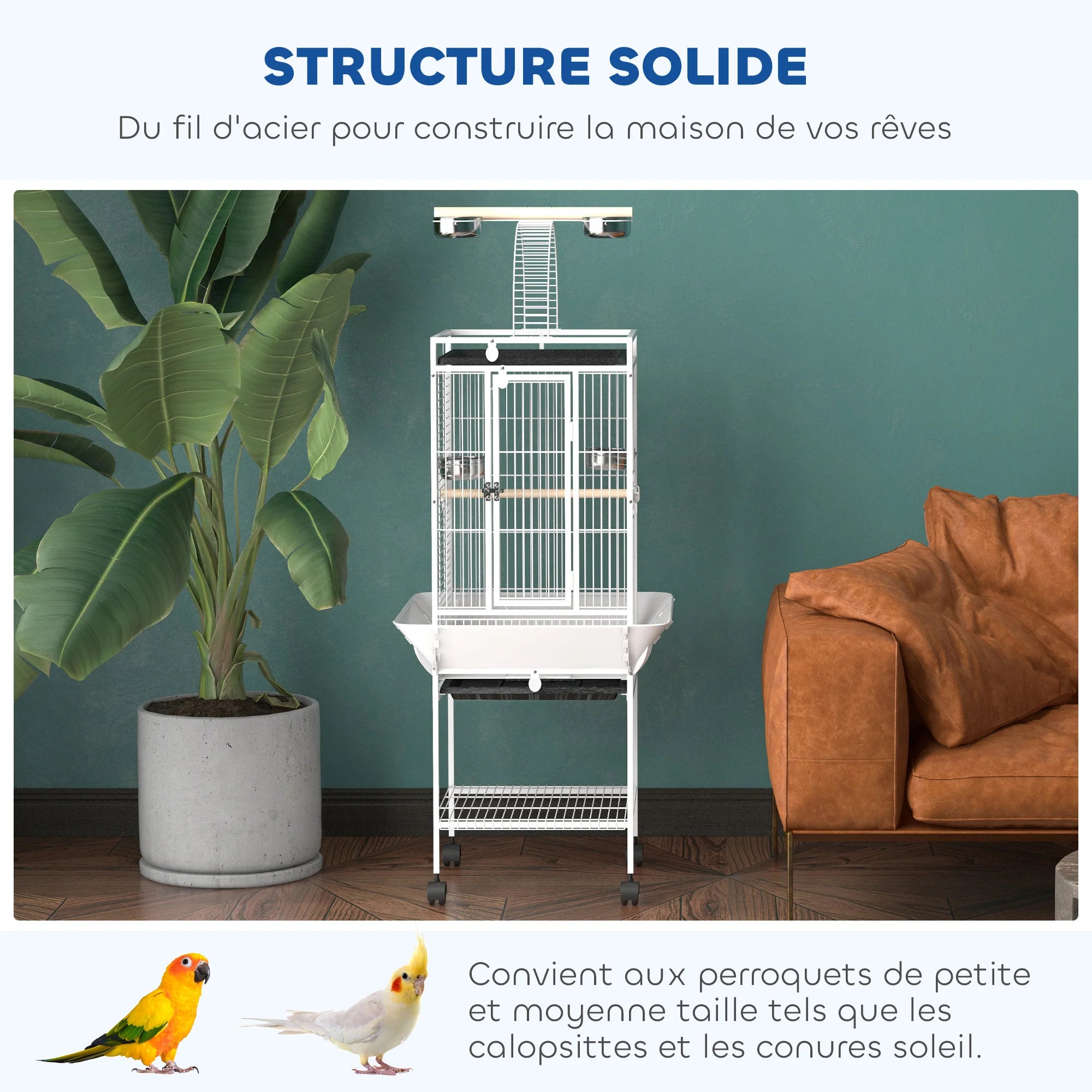 Volière petit et moyen perroquet