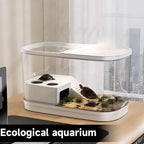 Bac tortue avec plateforme