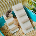 échelle pleine hamster