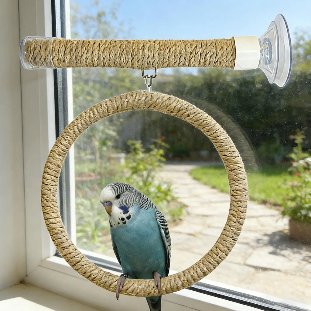 perchoir à oiseaux fixation ventouse