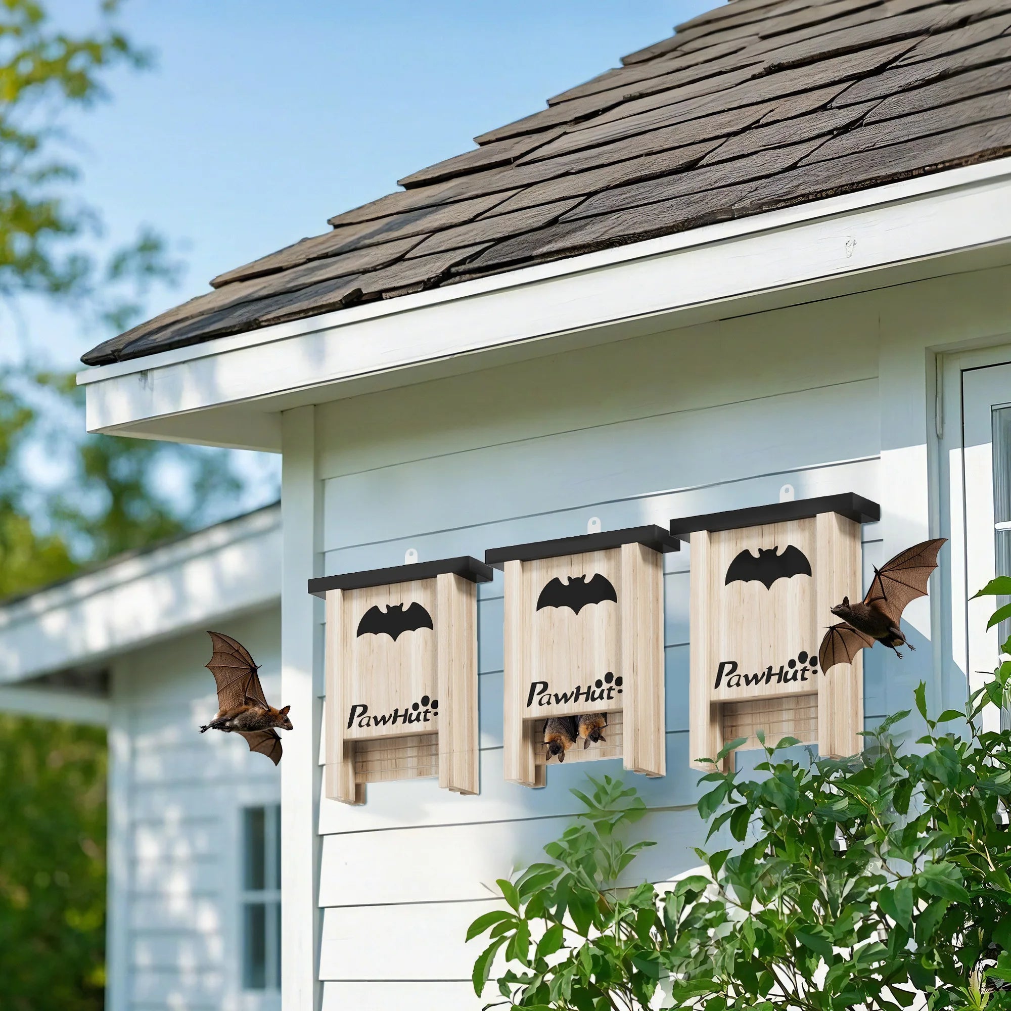 Lot de 3 cabanes chauve-souris