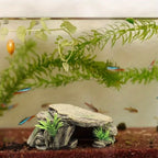 Cachette grotte de pierre