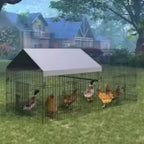 Enclos à poules semi-couvert