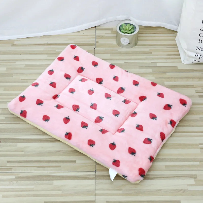 Coussin rectangle motifs