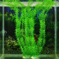 Plante en plastique Egeria