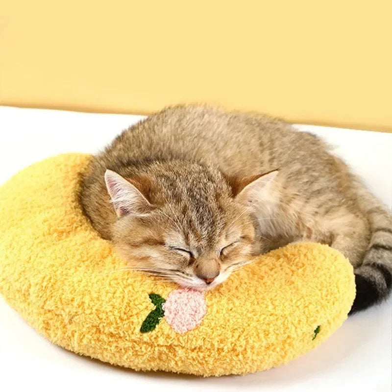 Oreiller pour chats