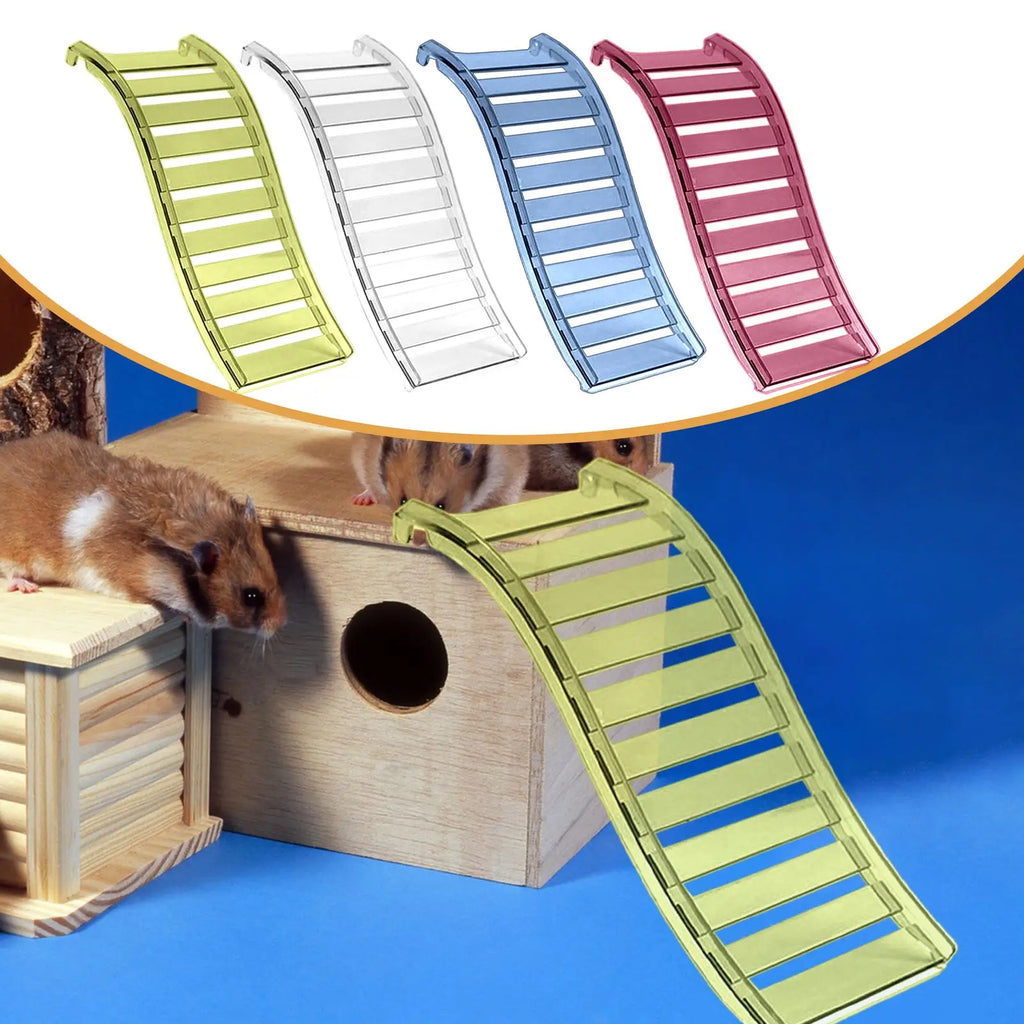 échelle pour hamster
