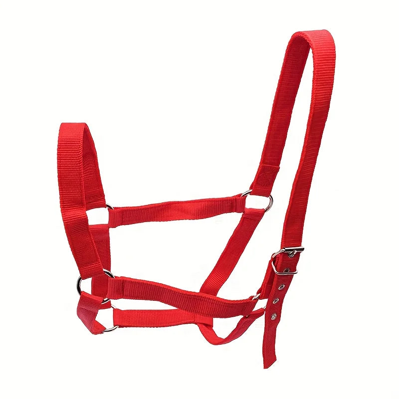 Licol réglable en nylon
