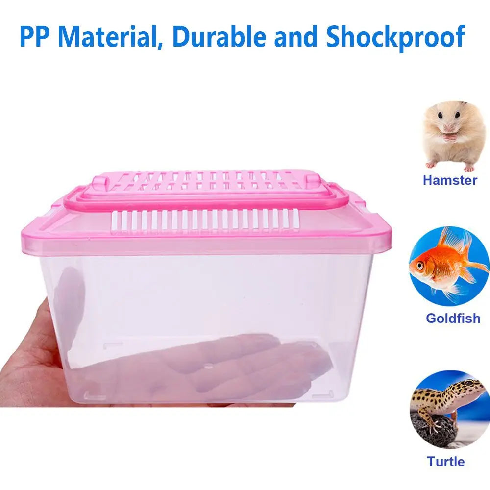 Caisse de transport plastique