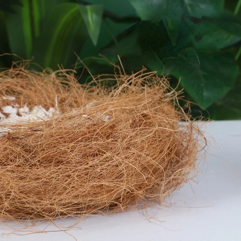 30 G fibre de coco pour nid