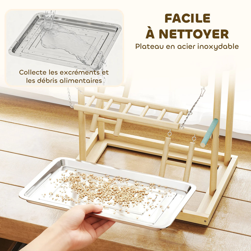 Perchoir aire de jeu petit perroquet