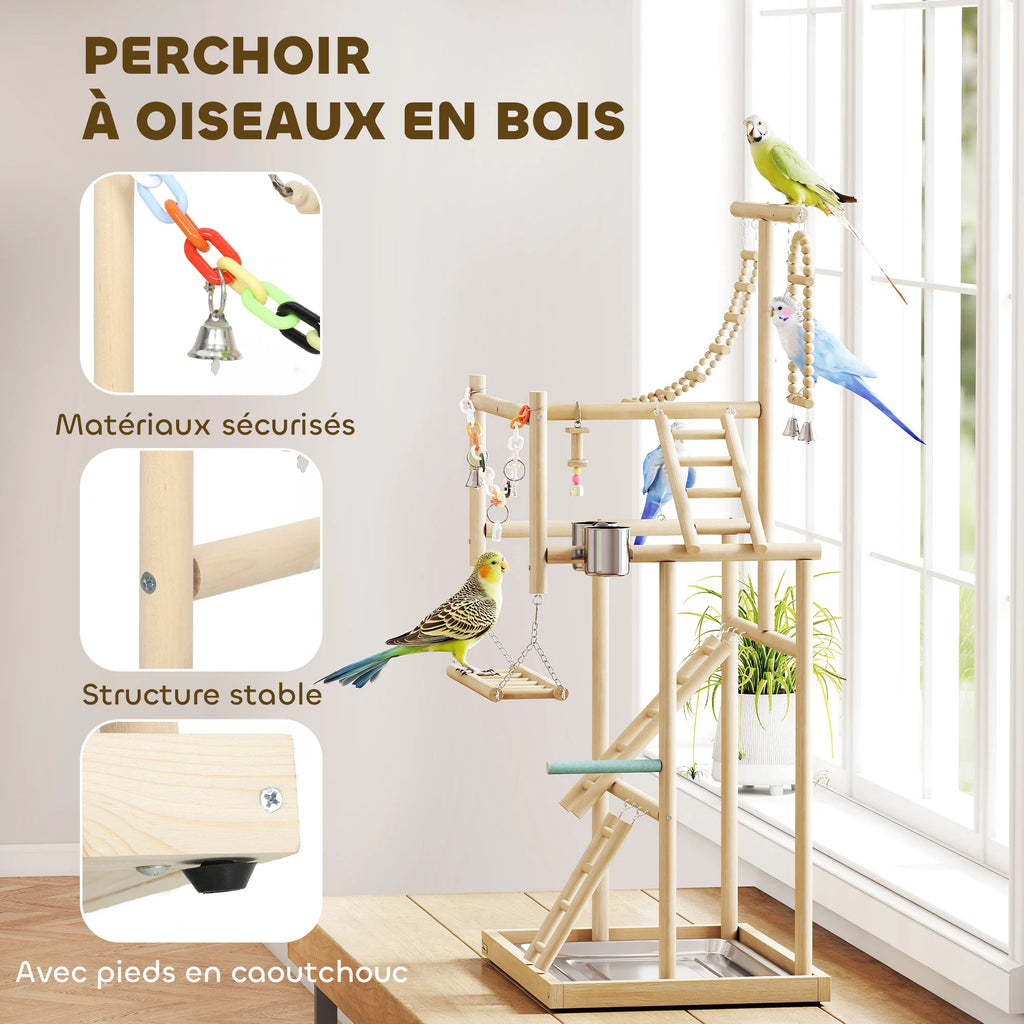 Perchoir aire de jeu petit perroquet