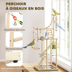 Perchoir aire de jeu petit perroquet