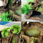 Abreuvoir pour reptiles